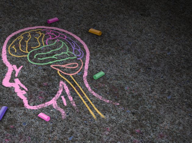 Chalk drawing of child brain