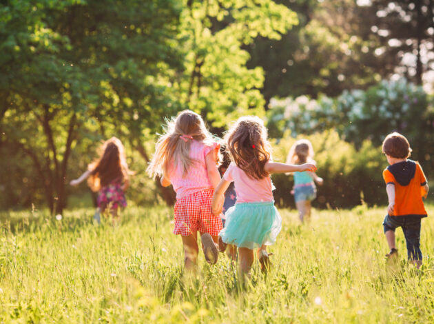 An image of children playing in a sunny meadow